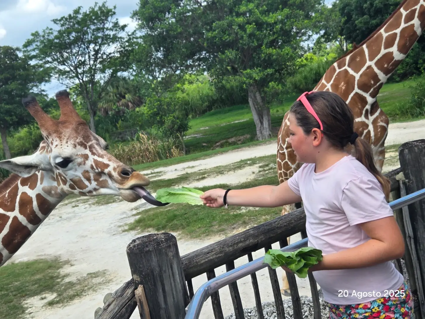 Vendere l'esperienza come un'insalata allo zoo: il retail ha bisogno di più partecipazione