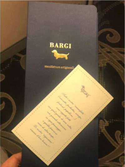 Cravatta Bargi - regalo Sheraton